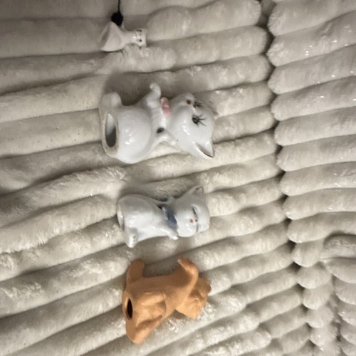 Katzen sammlung konvolut - katzen,