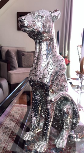 Leoparden hund katze - hund,,