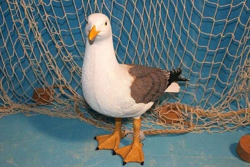 Große möwe stehend maritime - möwe,